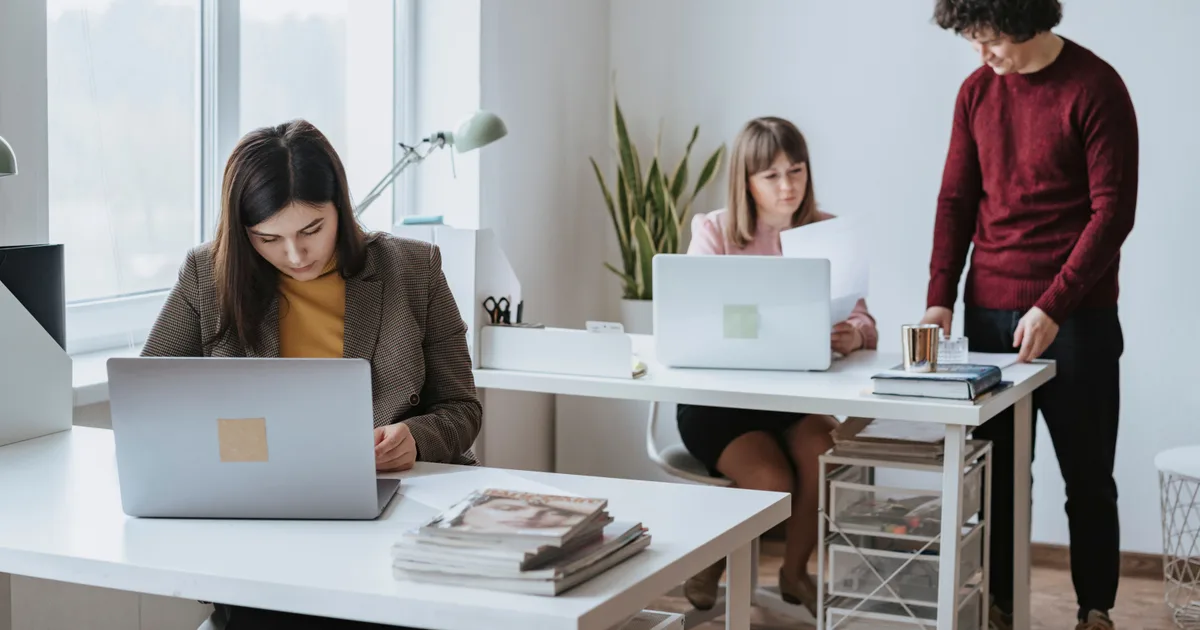 Trois personnes au travail dans un bureau clair, devant des ordinateurs portables