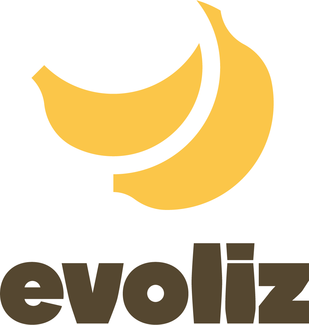 Logo Evoliz